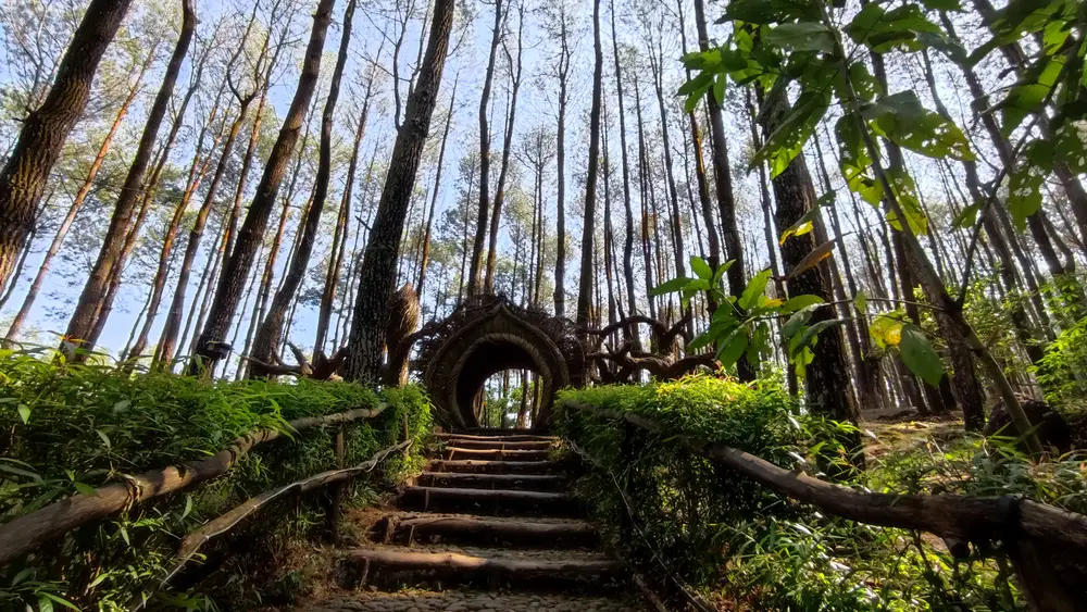 Jogja Art & Village — Kalibiru & Hutan Pinus