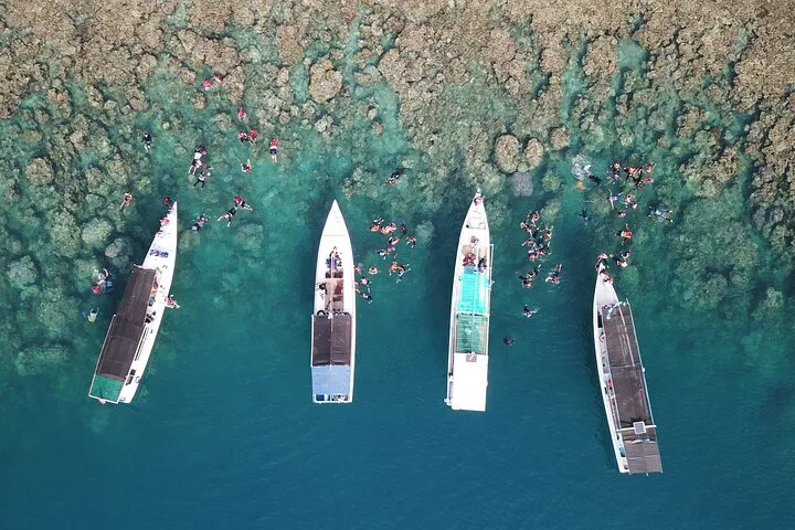 Karimunjawa Island — Snorkeling & Island Hopping